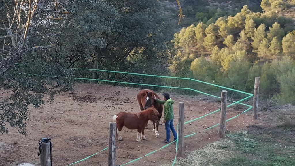Masia Casajoana Rural Rellinars المظهر الخارجي الصورة
