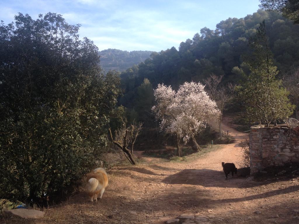 Masia Casajoana Rural Rellinars المظهر الخارجي الصورة