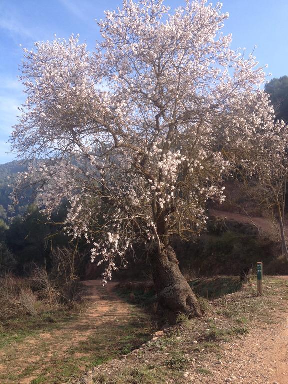 Masia Casajoana Rural Rellinars المظهر الخارجي الصورة