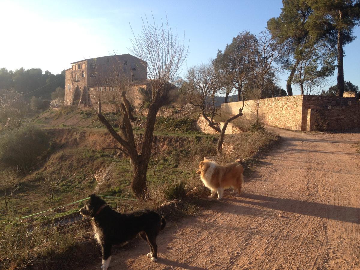 Masia Casajoana Rural Rellinars المظهر الخارجي الصورة